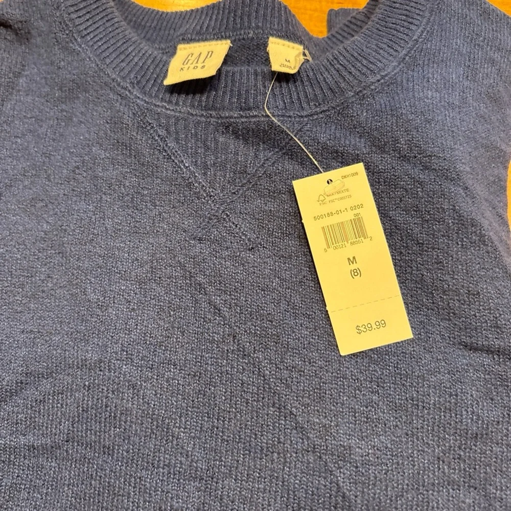 GAP Kid Blue Sweater